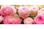 Peonies Loft - Home